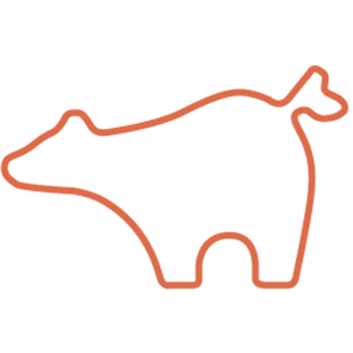 BEARS LAB